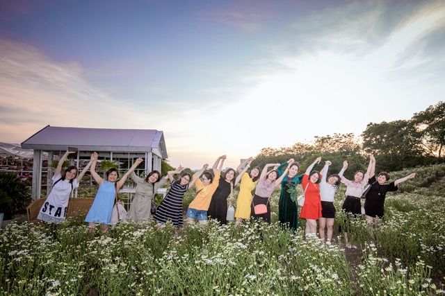 lac vao canh dong cuc hoa mi 3000m2 dep me man o ha noi