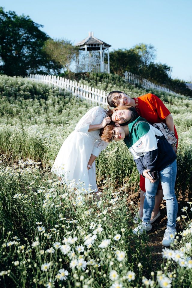 lac vao canh dong cuc hoa mi 3000m2 dep me man o ha noi