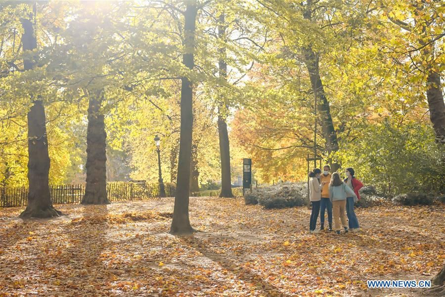 dam minh trong canh dep mua thu ngap sac vang o chau au