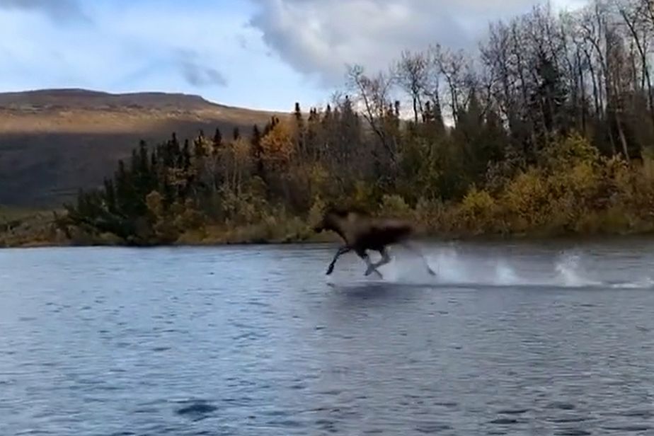 ky dieu khoanh khac nai sung tam chay nhu bay tren mat nuoc