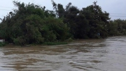 Dự báo thời tiết đêm nay và ngày mai (27-28/10): Vùng núi phía Bắc trời rét; Trung Bộ mưa to đến rất to; Bắc Bộ, Tây Nguyên và Nam Bộ cục bộ mưa to