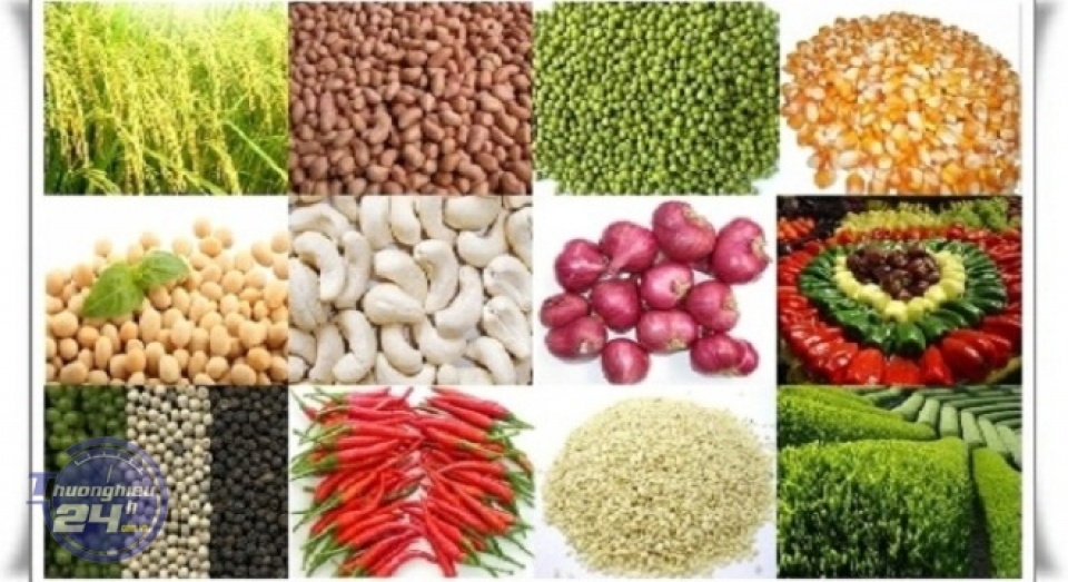 Lời giải nào cho bài toán nông sản Việt? loi giai nao cho bai toan nong san viet