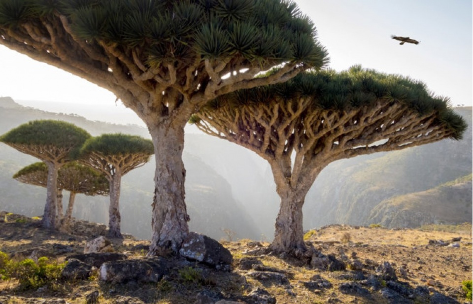 15 địa điểm đẹp siêu thực như ở hành tinh khác