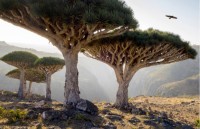 nhung hang dong bang bang dep me hon tren the gioi