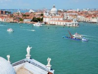 venice vat lon chong chim