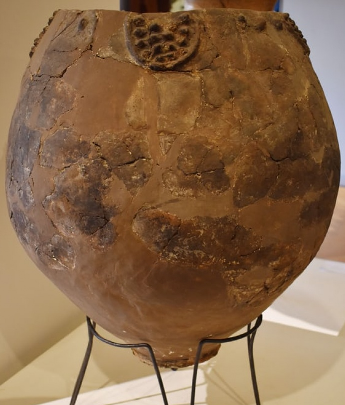 Phát hiện mới về nguồn gốc cổ xưa của rượu vang nho