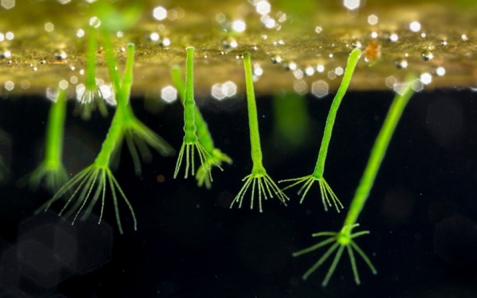 Những bức ảnh thiên nhiên hoang dã đẹp nhất tại Anh nhung buc anh thien nhien hoang da dep nhat tai anh