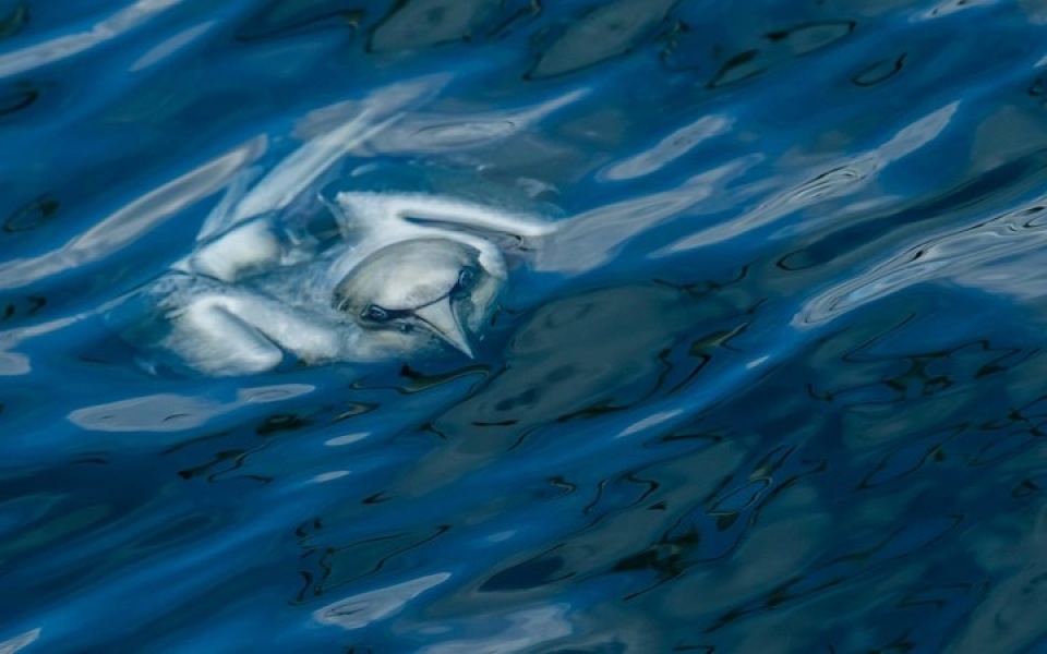 Những bức ảnh thiên nhiên hoang dã đẹp nhất tại Anh nhung buc anh thien nhien hoang da dep nhat tai anh