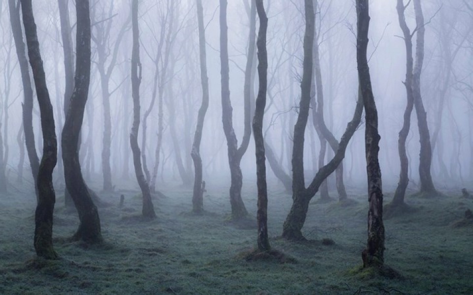 Những bức ảnh thiên nhiên hoang dã đẹp nhất tại Anh nhung buc anh thien nhien hoang da dep nhat tai anh