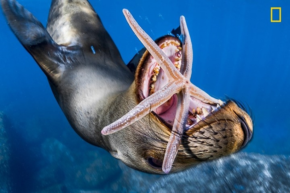 thien nhien dep me hon qua anh national geographic