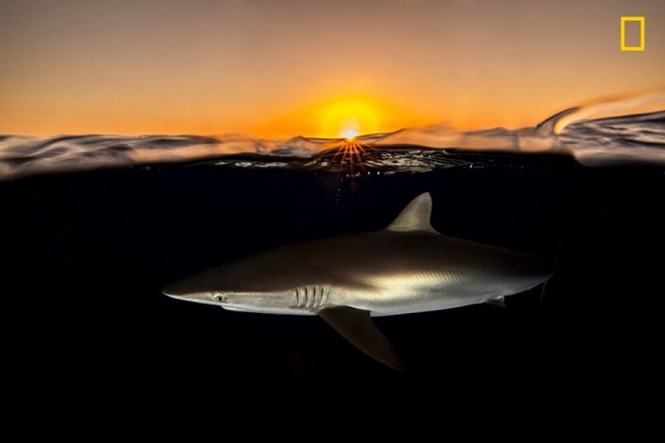 thien nhien dep me hon qua anh national geographic