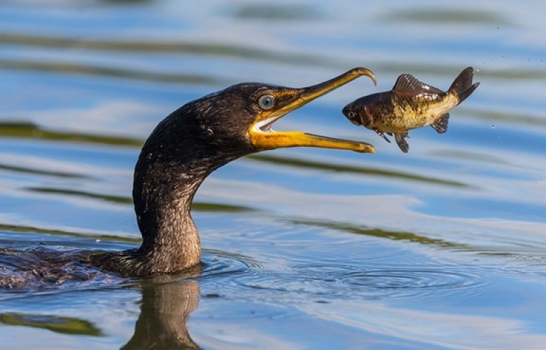 Thiên nhiên đẹp mê hồn qua ảnh National Geographic