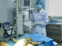 nam phi che tao thanh cong may in 3d lon nhat the gioi