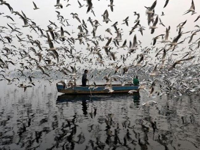 Những bức ảnh “gây bão” trên Instagram trong năm 2017