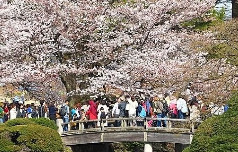 Nhật Bản: Không biết ngoại ngữ, nhân viên bán vé gây tổn thất 5 tỷ