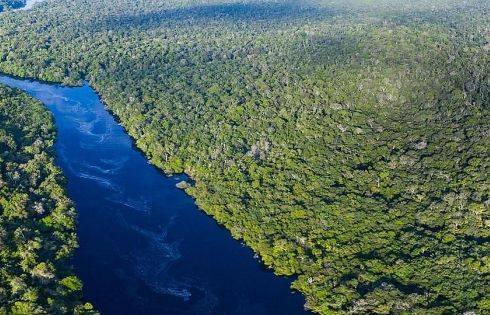 Tin vui: Số vụ cháy tại rừng Amazon khu vực miền Bắc Brazil giảm kỷ lục trong tháng 10