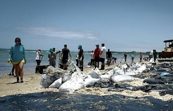 Dân Brazil chạy đua với thời gian cứu các bãi biển trước mùa du lịch