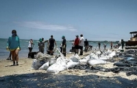 le hoi carnival brazil va khat khao duoc mat tri