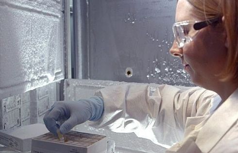 Phát hiện chủng virus HIV mới