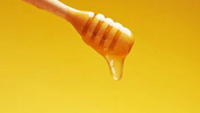 israel san xuat mat khong can ong