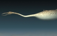 Bí ẩn quái vật kì dị bậc nhất lịch sử Trái đất khi không thể xác định thuộc loài nào