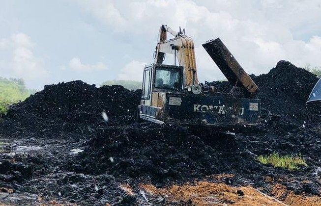 EU hỗ trợ ASEAN sử dụng bền vững than bùn và giảm thiểu khói mù