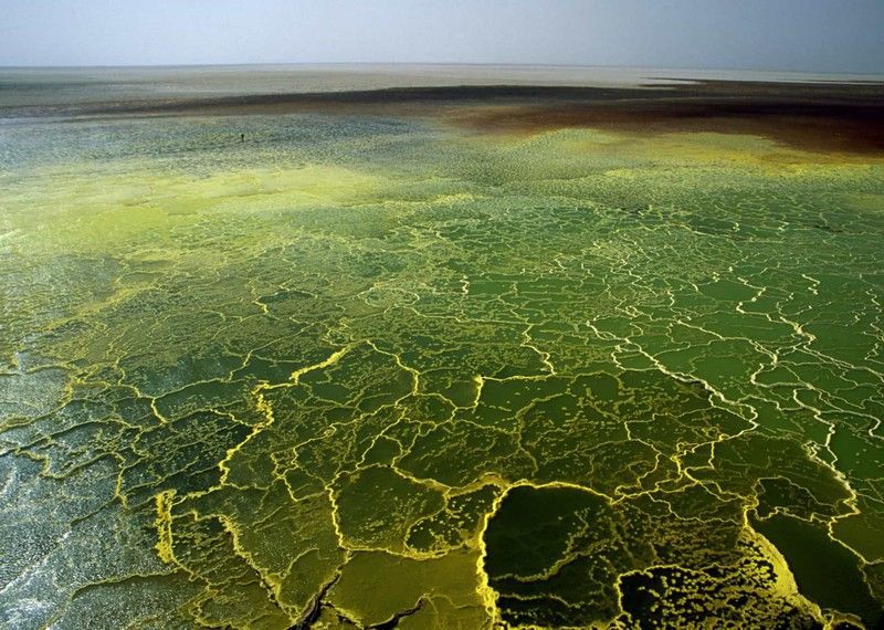 Sôi động cảnh khai thác và buôn bán muối ở nơi nóng nhất hành tinh chum anh cuoc song o noi nong nhat hanh tinh