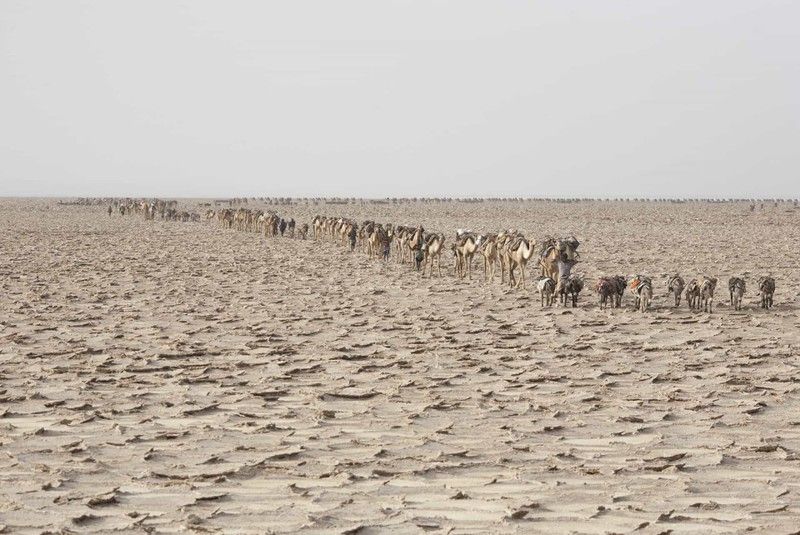 Sôi động cảnh khai thác và buôn bán muối ở nơi nóng nhất hành tinh chum anh cuoc song o noi nong nhat hanh tinh