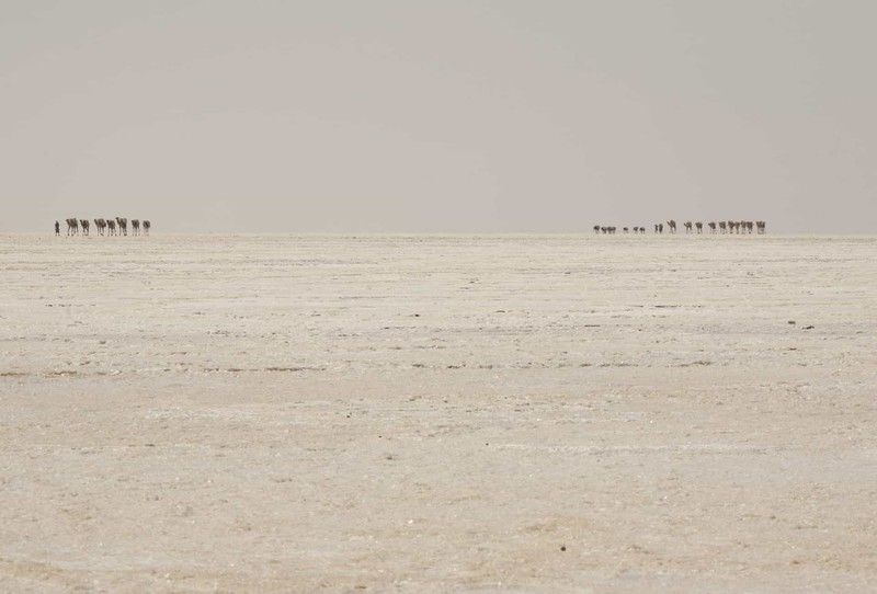 Sôi động cảnh khai thác và buôn bán muối ở nơi nóng nhất hành tinh chum anh cuoc song o noi nong nhat hanh tinh