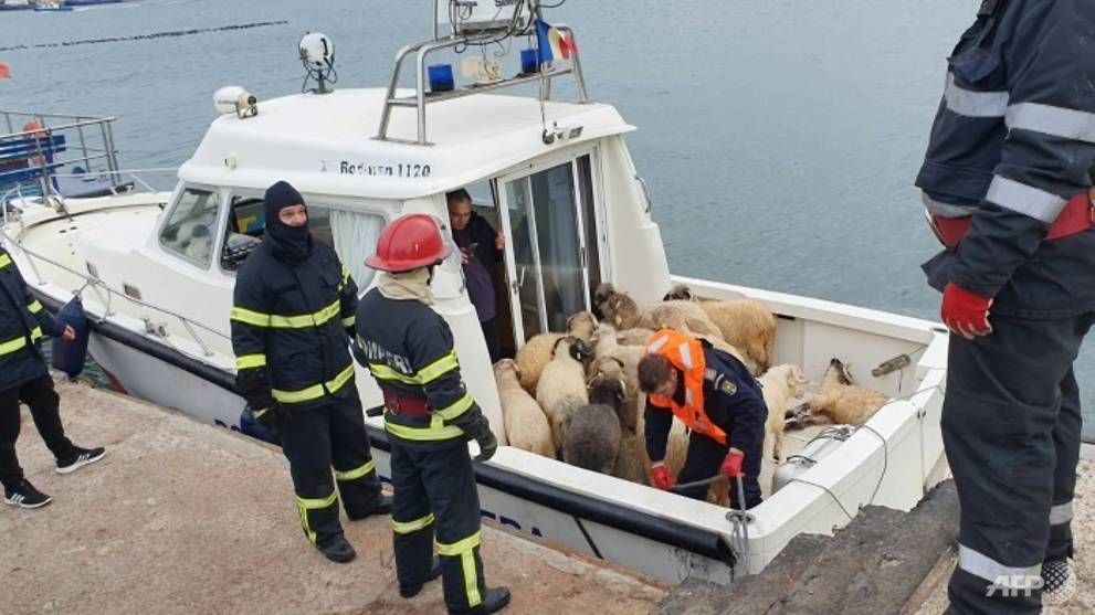 them 26 con cuu duoc giai cuu trong vu lat tau ngoai khoi romania