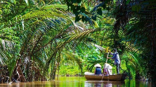 Chất lượng không khí ngày 11/11: Khu vực Hà Nội nhìn chung ở mức Kém và Xấu