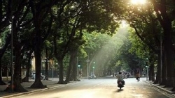 Dự báo thời tiết ngày và đêm nay (13/11): Bắc Bộ ngày nắng; đêm và sáng sớm trời lạnh; Trung Bộ, Tây Nguyên, Nam Bộ mưa dông rải rác