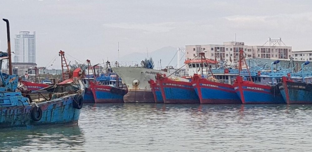 Dự báo thời tiết: