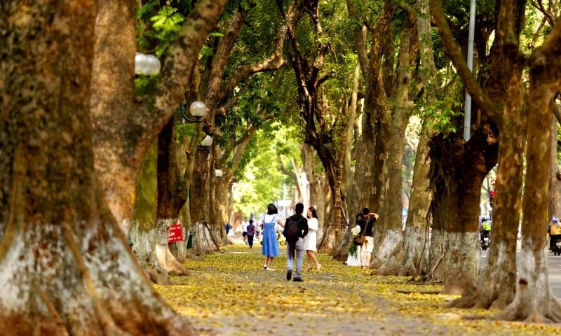 Dự báo thời tiết đêm nay và ngày mai (17-18/11): Đêm mưa vài nơi trên toàn quốc; Bắc Bộ, Bắc Trung Bộ lạnh về đêm và sáng sớm Dự báo thời tiết đêm nay và ngày mai (17-18/11): Đêm mưa vài nơi trên toàn quốc; Bắc Bộ, Bắc Trung Bộ lạnh về đêm và sáng sớm