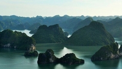 Dự báo thời tiết biển ngày và đêm nay (19/11): Vịnh Bắc Bộ không mưa; các nơi khác có mưa dông rải rác