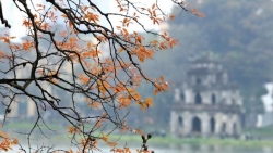 Dự báo thời tiết đêm nay và ngày mai (19-20/11): Đông Bắc Bộ mưa vài nơi, sáng sớm sương mù, trưa chiều trời nắng; Trung Bộ, Tây Nguyên ngày nắng