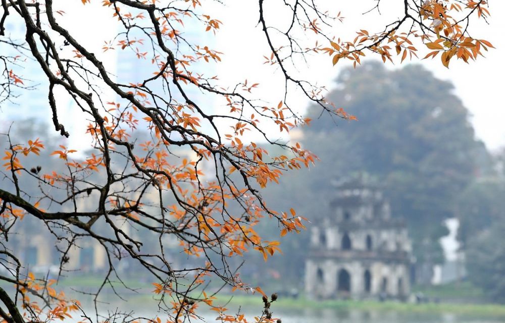 Dự báo thời tiết đêm nay và ngày mai (19-20/11): Đông Bắc Bộ mưa vài nơi, sáng sớm sương mù, trưa chiều trời nắng; Trung Bộ, Tây Nguyên ngày nắng