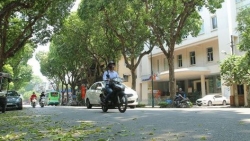 Dự báo thời tiết ngày và đêm nay (27/11): Bắc Bộ trưa chiều trời nắng, đêm chuyển rét; Trung Bộ mưa to đến rất to; Nam Bộ, Tây Nguyên ngày nắng