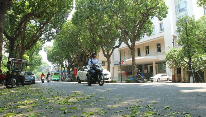 Dự báo thời tiết ngày và đêm nay (27/11): Bắc Bộ trưa chiều trời nắng, đêm chuyển rét; Trung Bộ mưa to đến rất to; Nam Bộ, Tây Nguyên ngày nắng