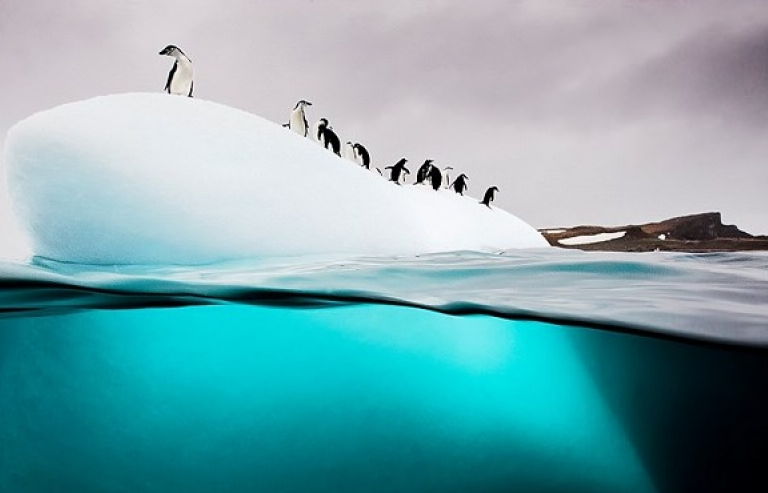 Việt Nam là 1 trong 9 điểm nghỉ Đông hàng đầu thế giới