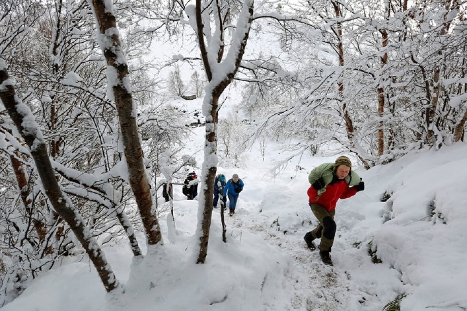 Cận cảnh đàn tuần lộc chăn thả tự do duy nhất ở Vương quốc Anh can canh dan tuan loc chan tha tu do duy nhat o vuong quoc anh