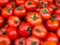 Rau quả tươi giúp phục hồi tổn thương phổi ở người đã cai thuốc