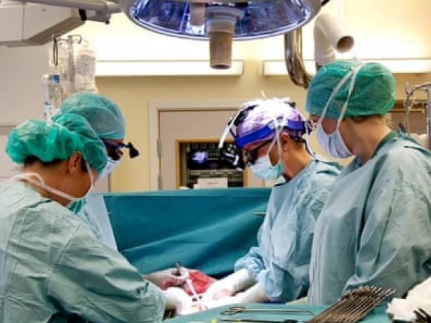 Em bé đầu tiên ra đời từ tử cung được cấy ghép của người đã chết