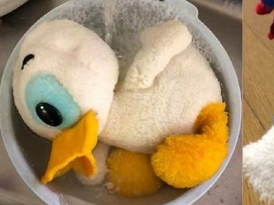 Bảo tàng Nhật 30 năm vẫn chờ chủ nhân của món đồ chơi thất lạc