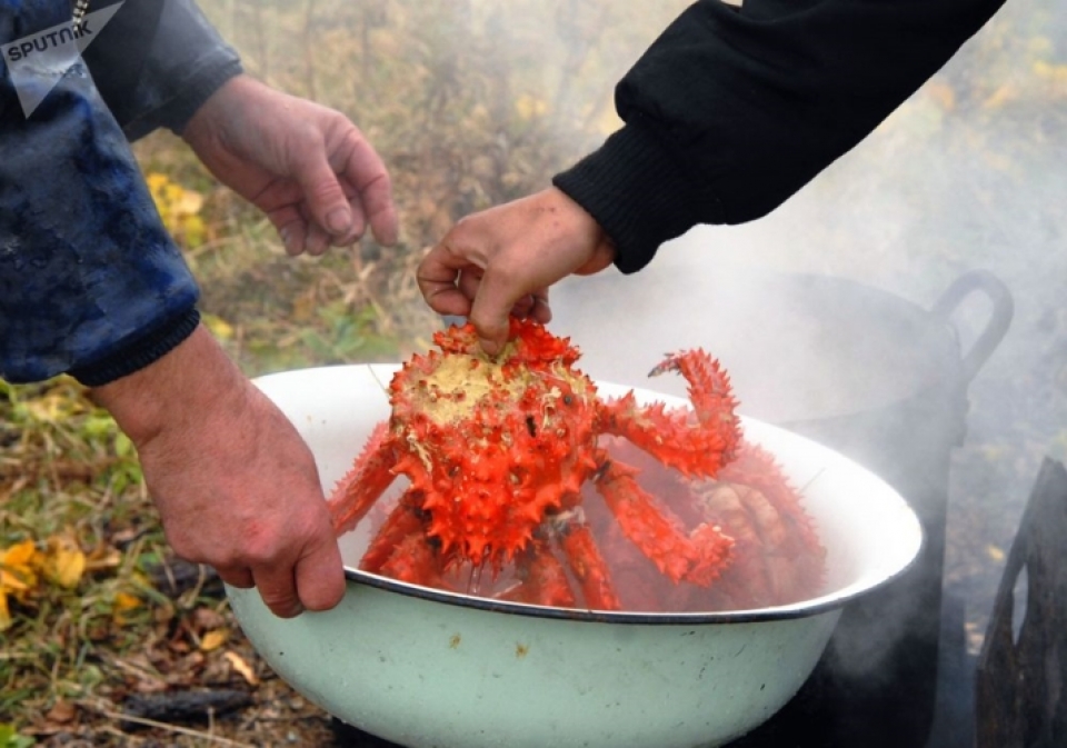 cuoc song tren quan dao nam kuril tranh chap giua nga va nhat ban