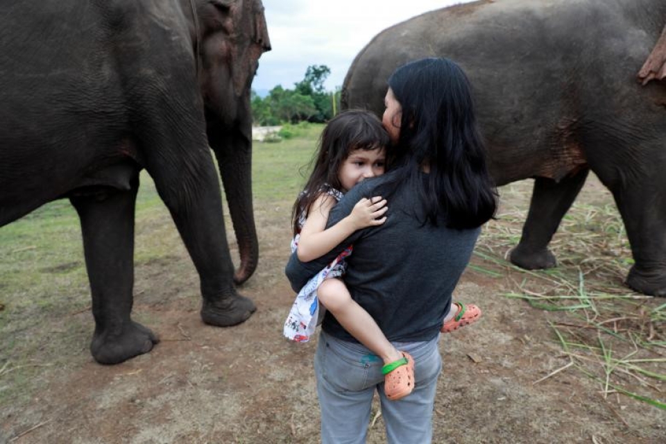 thai lan xoa diu tam hon nhung con voi dau kho bang nhac co dien