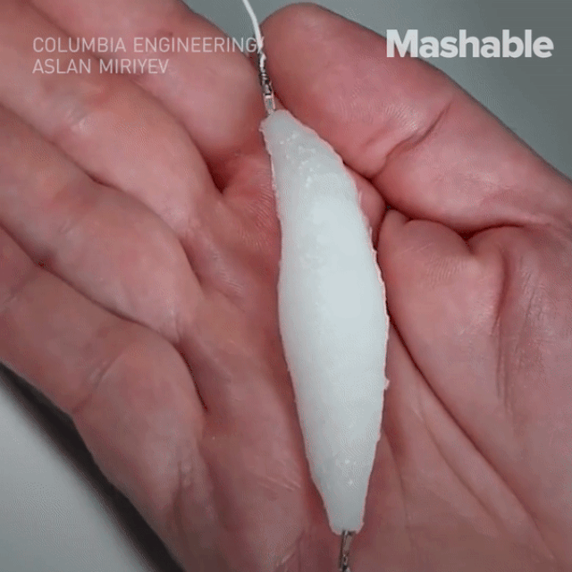 Cơ nhân tạo nâng được vật nặng gấp 1.000 lần, mở ra tương lai cho robot giống hệt con người co nhan tao nang duoc vat nang gap 1000 lan mo ra tuong lai cho robot giong het con nguoi