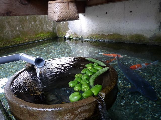 'Choáng' với nước sạch ở ngôi làng có một không hai trên thế giới den ngoi lang co nuoc sach den muc nguoi dan rua bat nau com ngay o kenh muong nuoi ca