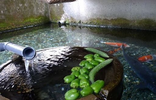 'Choáng' với nước sạch ở ngôi làng có một không hai trên thế giới