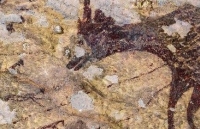 song trong hang dong suot ca thang vi khong thue duoc khach san